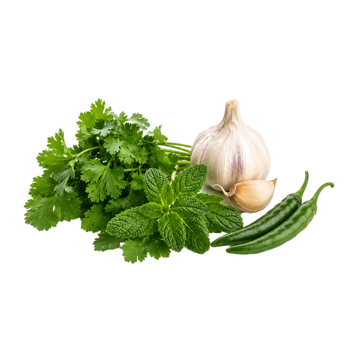 Herbs & Seasonings